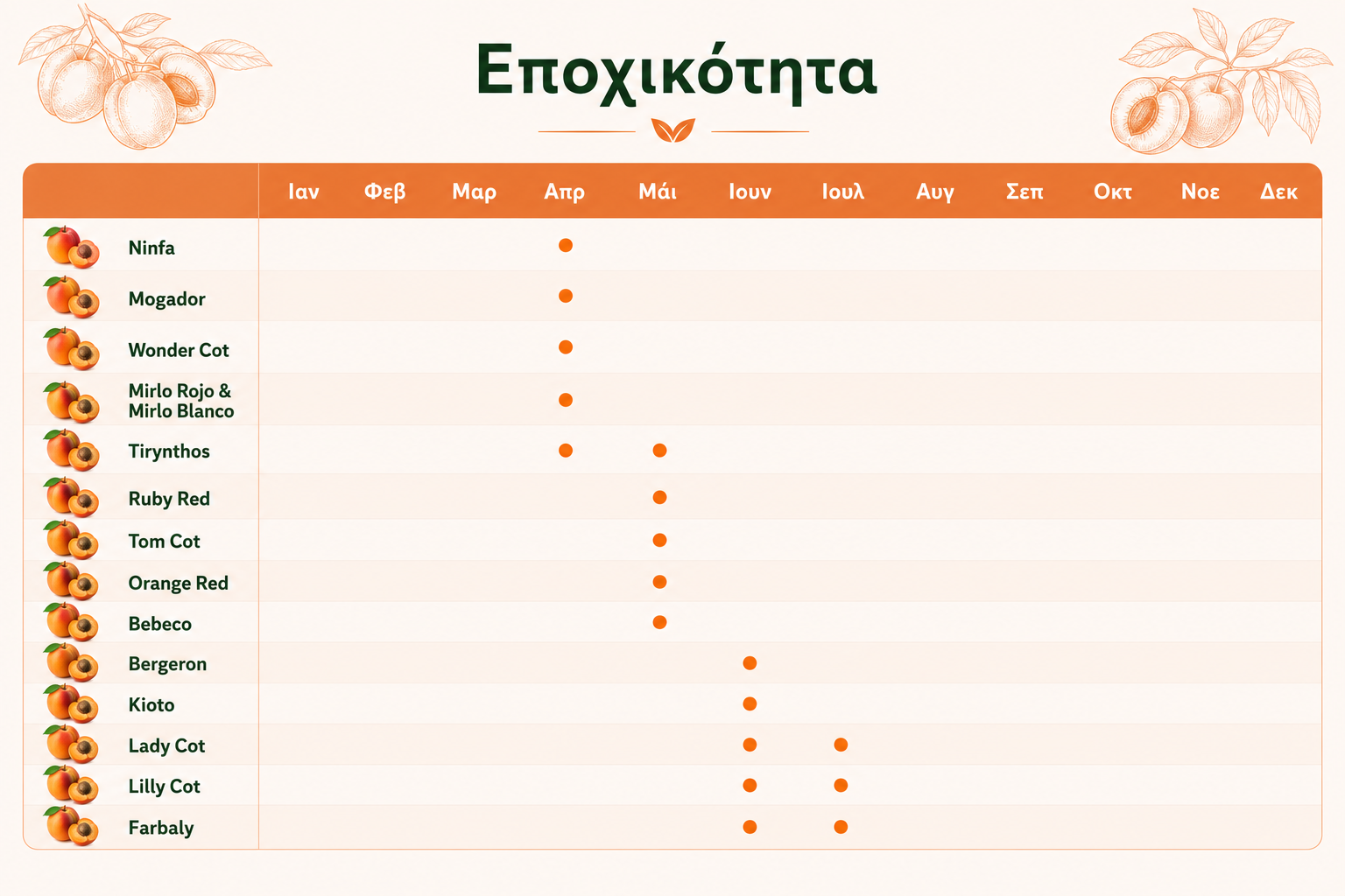 Ημερολόγιο συγκομιδής ελληνικών βερίκοκων Pitsakis Fruits